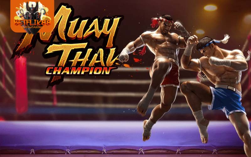 Muay Thai Champion