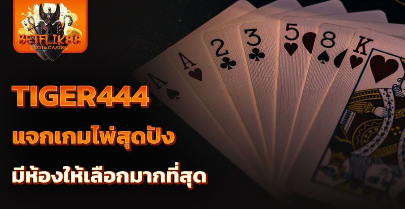 tiger444