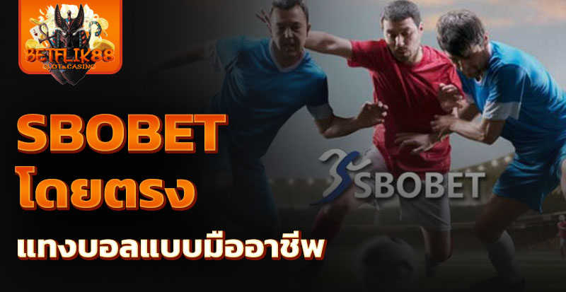 sbobet โดยตรง